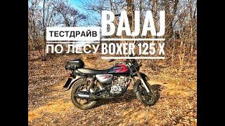 Bajaj Boxer 125 X тестдрайв по лесу