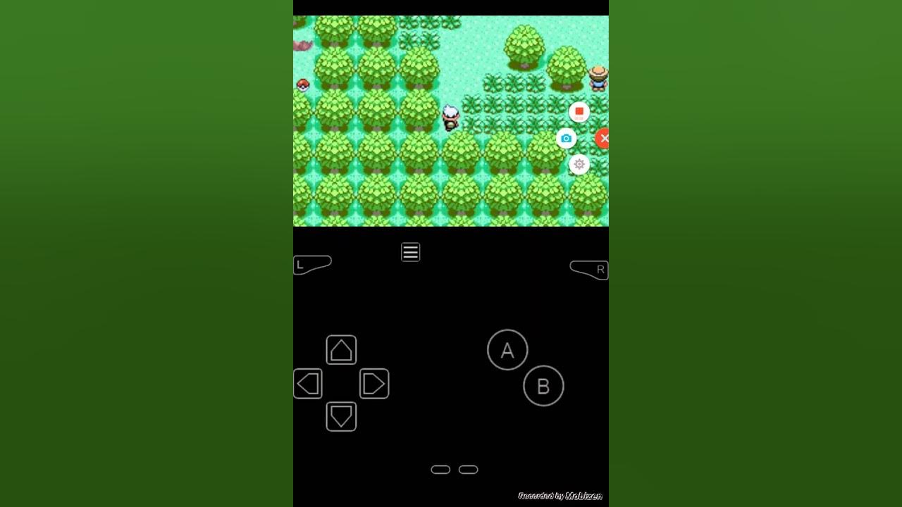 Shiny Pokémon Emerald cheat code my boy emulator YouTube