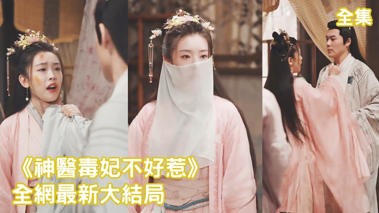 绝世神医：穿越成王妃的逆袭故事