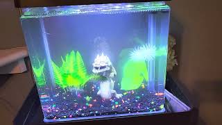 Why Im Returning The Top Fin Infinity Edge Waterfall Tank