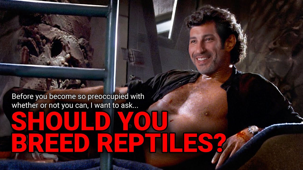 Should You Breed Reptiles (Part 1)