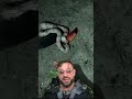Jiboia tentando devorar um tucano em Chapada dos Veadeiros Goiás #biologohenrique #animais #biologo