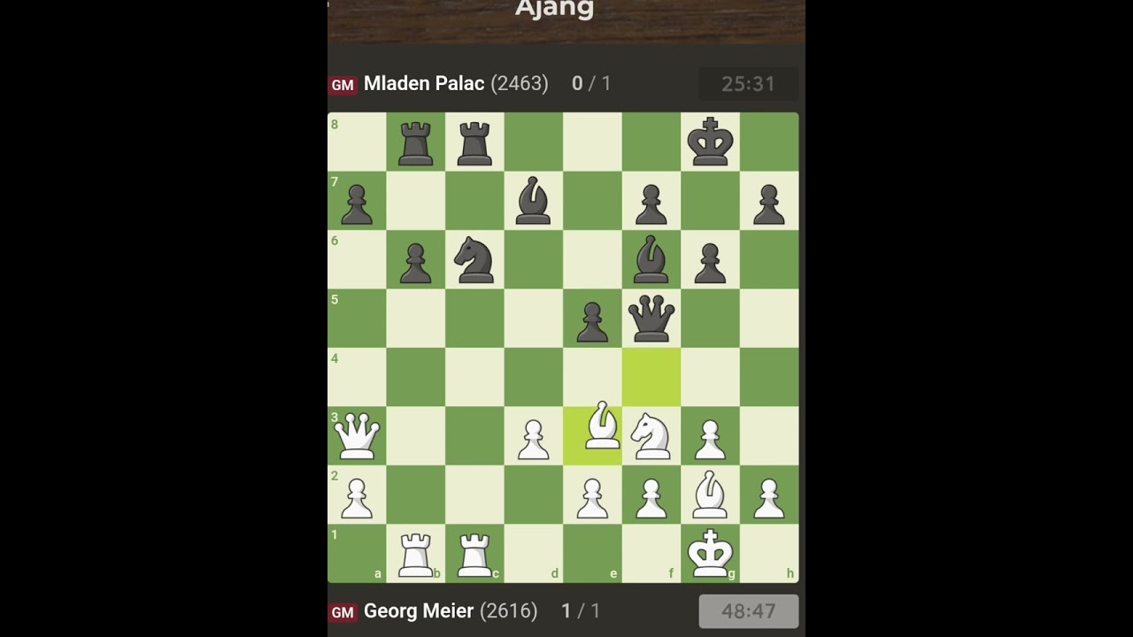 georg meier 1-0 mladen palac