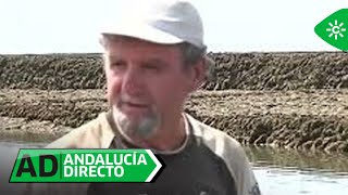 Andalucía Directo | Los corrales, el ancestral arte de pesca que es Monumento Natural de Andalucía