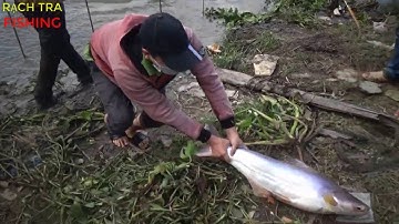 LẠI LÀ TRA SÔNG 7KG RẠCH TRA...!!!