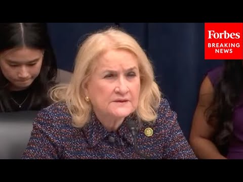 ‘Can The Private Industry Solve The Housing Crisis?’: Sylvia Garcia Asks Witness To Refute GOP Claim