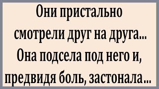 Они пристально смотрели друг на друга.  Смешные Анекдоты.