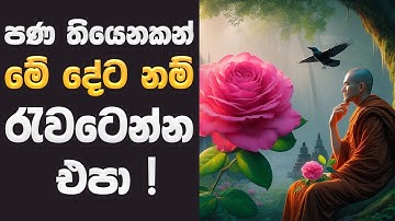 මේ දේවල් වලට රැවටුනොත් මනස ඉවරයි | If You Get Fooled by These Things, You’re Mind Done | Zen