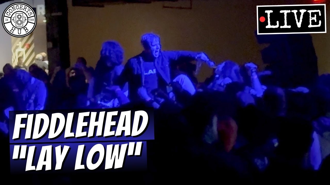 Fiddlehead "Lay Low" LIVE at Something in the Way Fest