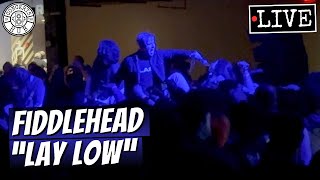 Fiddlehead "Lay Low" LIVE at Something in the Way Fest
