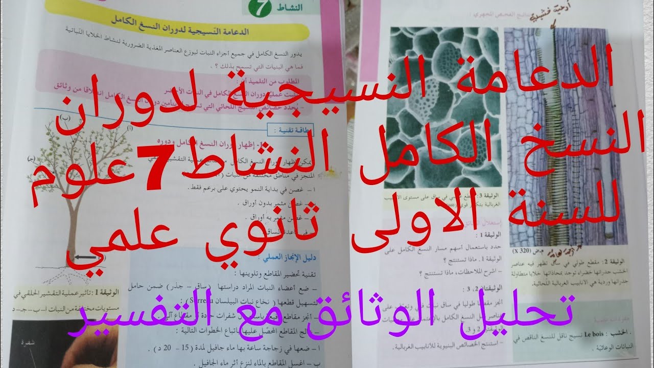 الدعامة النسيجية لدوران النسخ الكامل النشاط7علوم للسنة الاولى ثانوي علمي