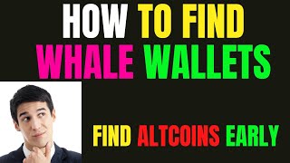 🚀How to track and Find Whale Wallets 🚀 screenshot 3