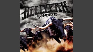 Stampede Information