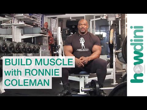 Body building tips:
