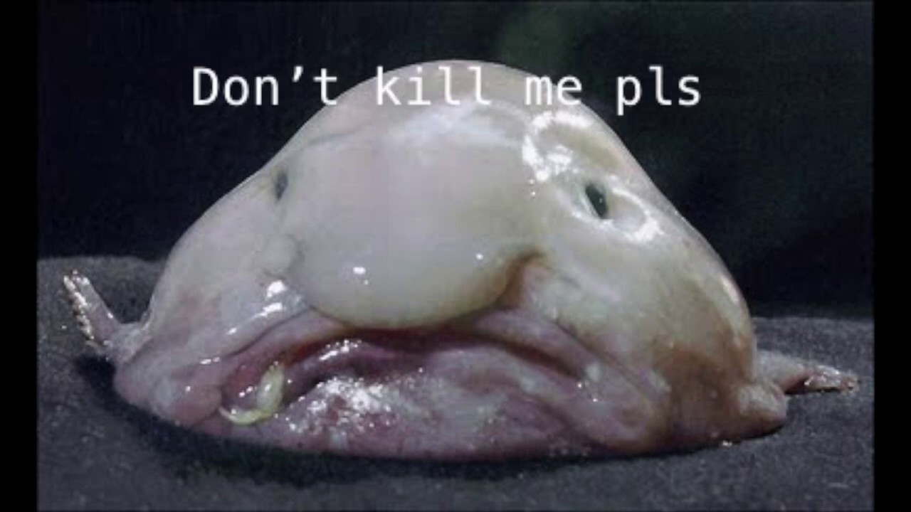 Mason Gong Problems with the Fish Market