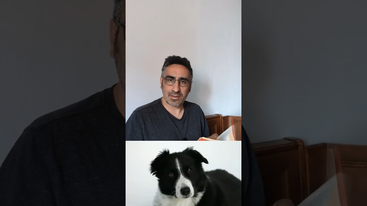 Thumbnail del video Snap o Flatpak? La verità che nessuno ti dice