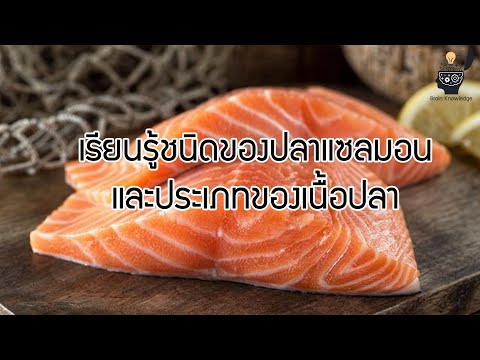 วีดีโอ: ปลาแซลมอน. ประเภทของปลาแซลมอนและคำอธิบาย