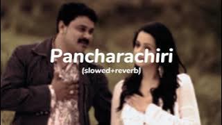 panjara chirikondu (slowed reverb)song|marykkundoru kunjaadu|malayalam