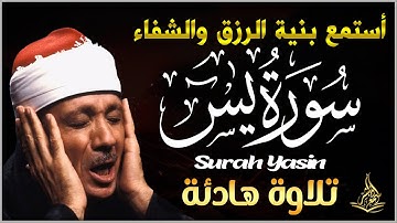 سورة يس أجمل تلاوة هادئة قبل النوم -  الشيخ عبدالباسط محمد عبدالصمد Surah Yasin - AbdELbaset Mohamed