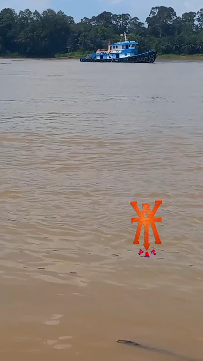 Tagboat #sungaikapuas #klotok #tagbaot
