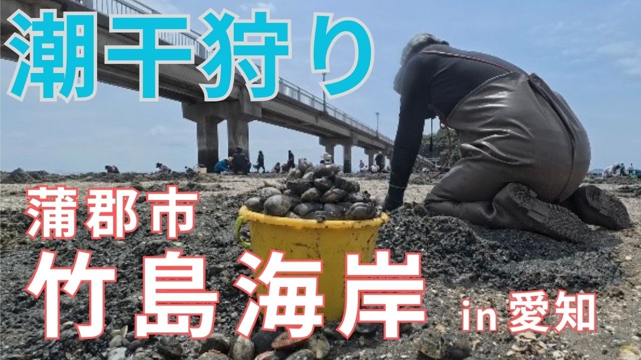 潮干狩り　かご 潮干狩りに行ってきました！（1年ぶり2回目。）特別にアサリが大量に