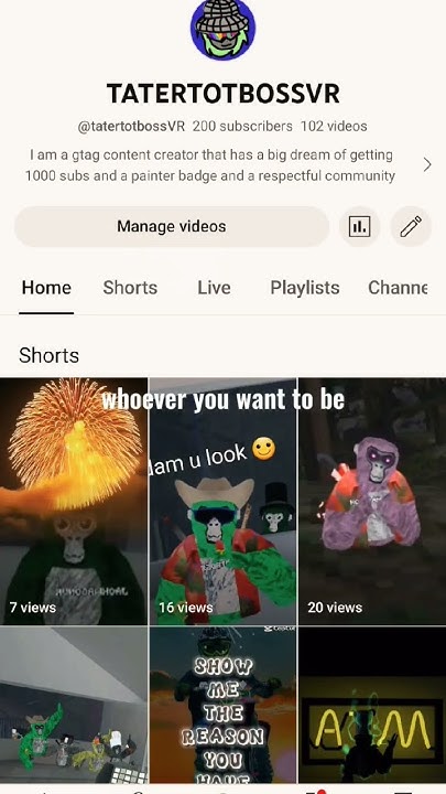its-my-time-to-shine-gorillatag-gtag-recommended-youtube