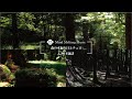 森の木漏れ日とCello信州下諏訪（自然映像とBGM/心身浄化・癒し/作業用BGM）sound of soft cello