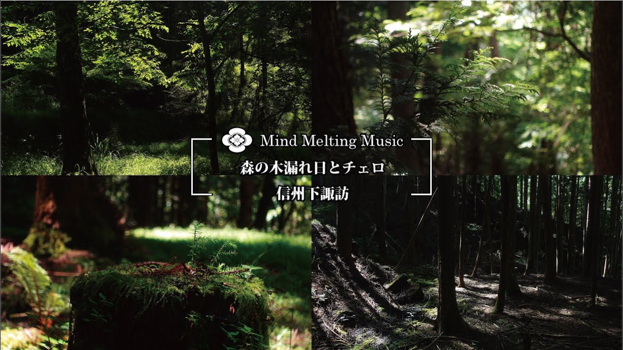 森の木漏れ日とCello信州下諏訪（自然映像とBGM/心身浄化・癒し/作業用BGM）sound of soft cello