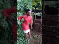 Mama wewe ni mtu mkubwa enda uachilie mzigo kwa shambabest of turufosa funny episodes 