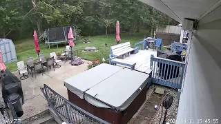 Tree calls in backyard from gusty winds in Summerside, Ohio
