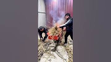 Grass kneading and crushing machine operation sharing