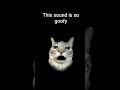 this sound is so goofy