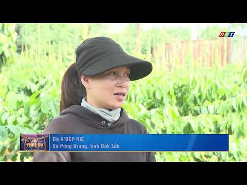 Phát huy hiệu quả các chương trình mục tiêu quốc gia