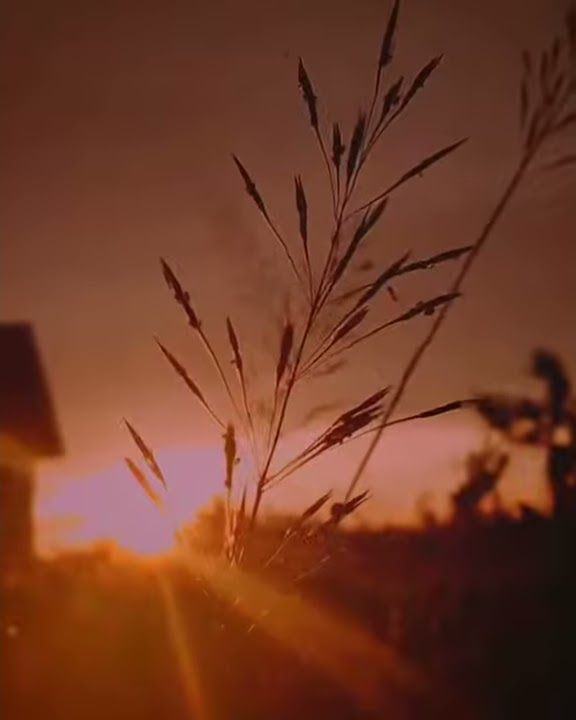 STORY WA SENJA II JUDULNYA.......