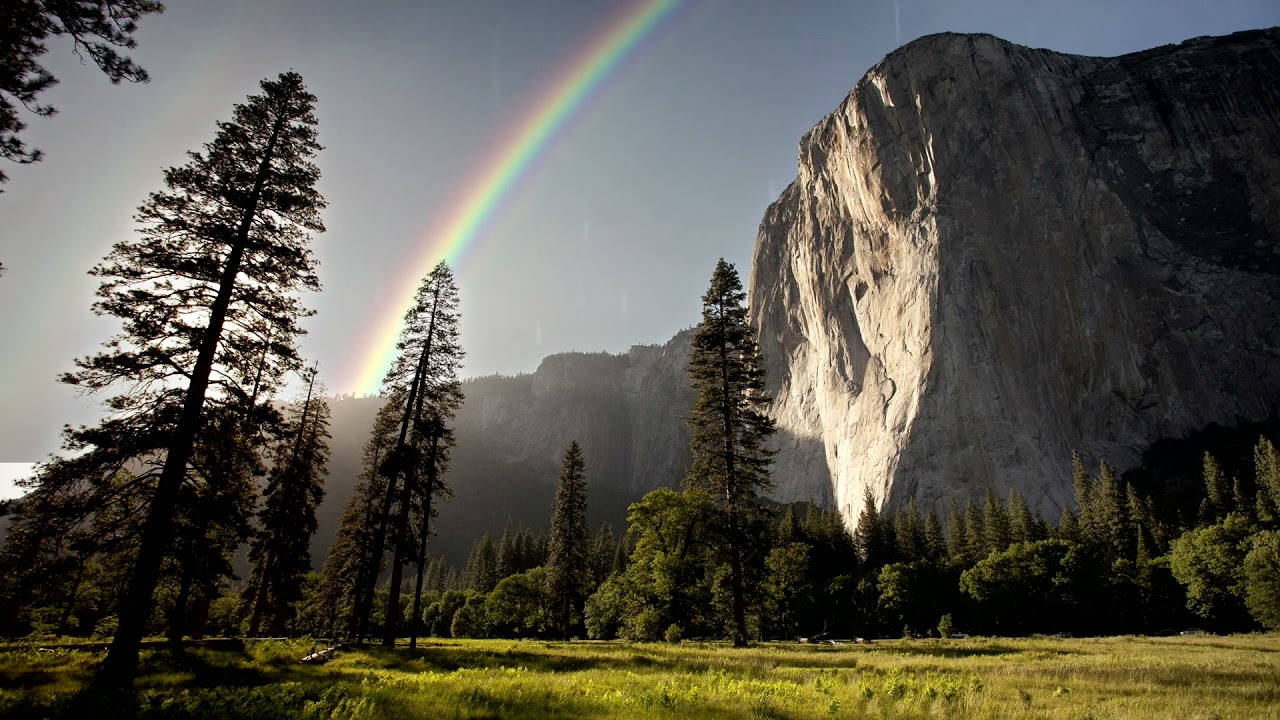 WYM2ME (Lyric Video)  - Zack Blumenstyk