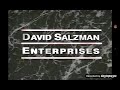 Telepictures Productions/David Salzman Enterprises/Warner Bros. Domestic TV Distribution (1999)