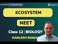 Ecosystem  neet  class 12 biology  3 pm class by kamlesh ranjan  vmc