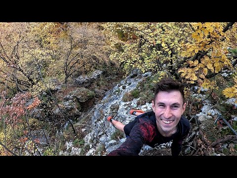 VLOG #95 -