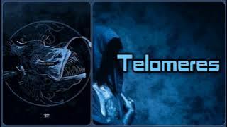 Download lagu Sleep Token - Telomeres  [Lyrics on screen]