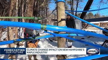 Climate change will affect New Hampshire