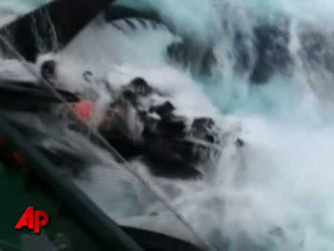 Boats Collide In Anti-whaling Clash In Antarctic