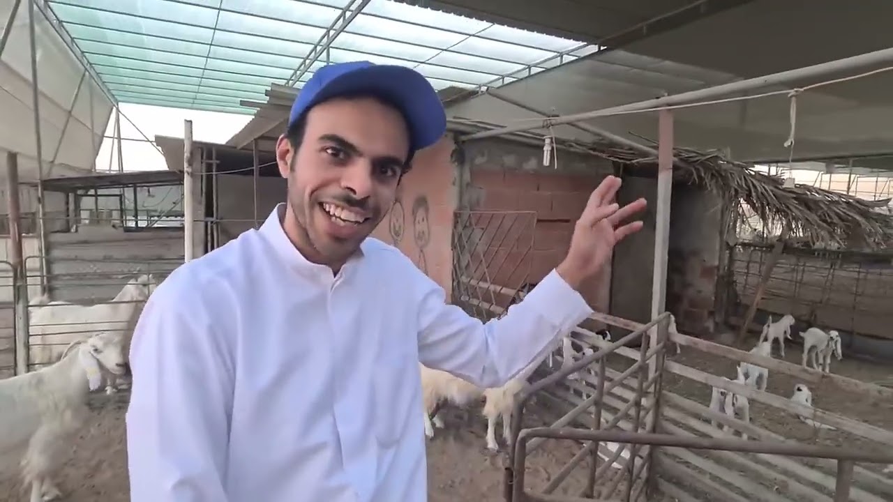 زيارة لمربي الماعز بوسليمان من الكويت  رابط القناة بأسفل الفيديو