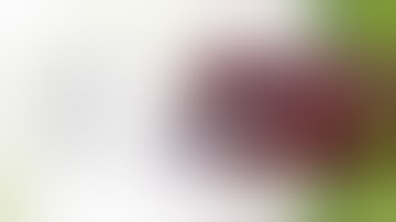 How to do Safe Total Laparoscopic Hysterectomy - Lecture by Dr R K Mishra