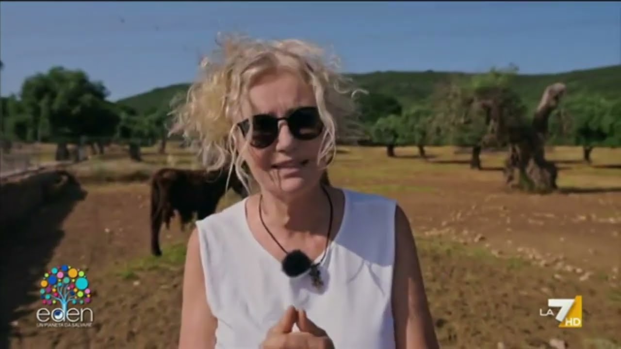 Crispiano e la Puglia delle 100 Masserie