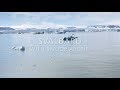 Svalbard  with swoop arctic