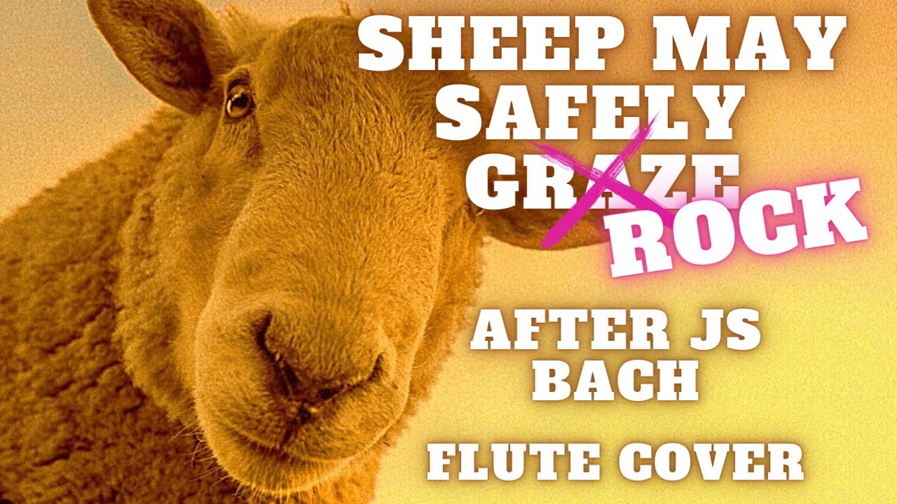 Sheep May Safely Graze for Rock Flute (after JS Bach) - YouTube