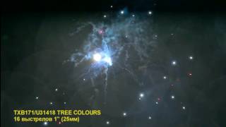 TXB171 U31418 TREE COLOURS