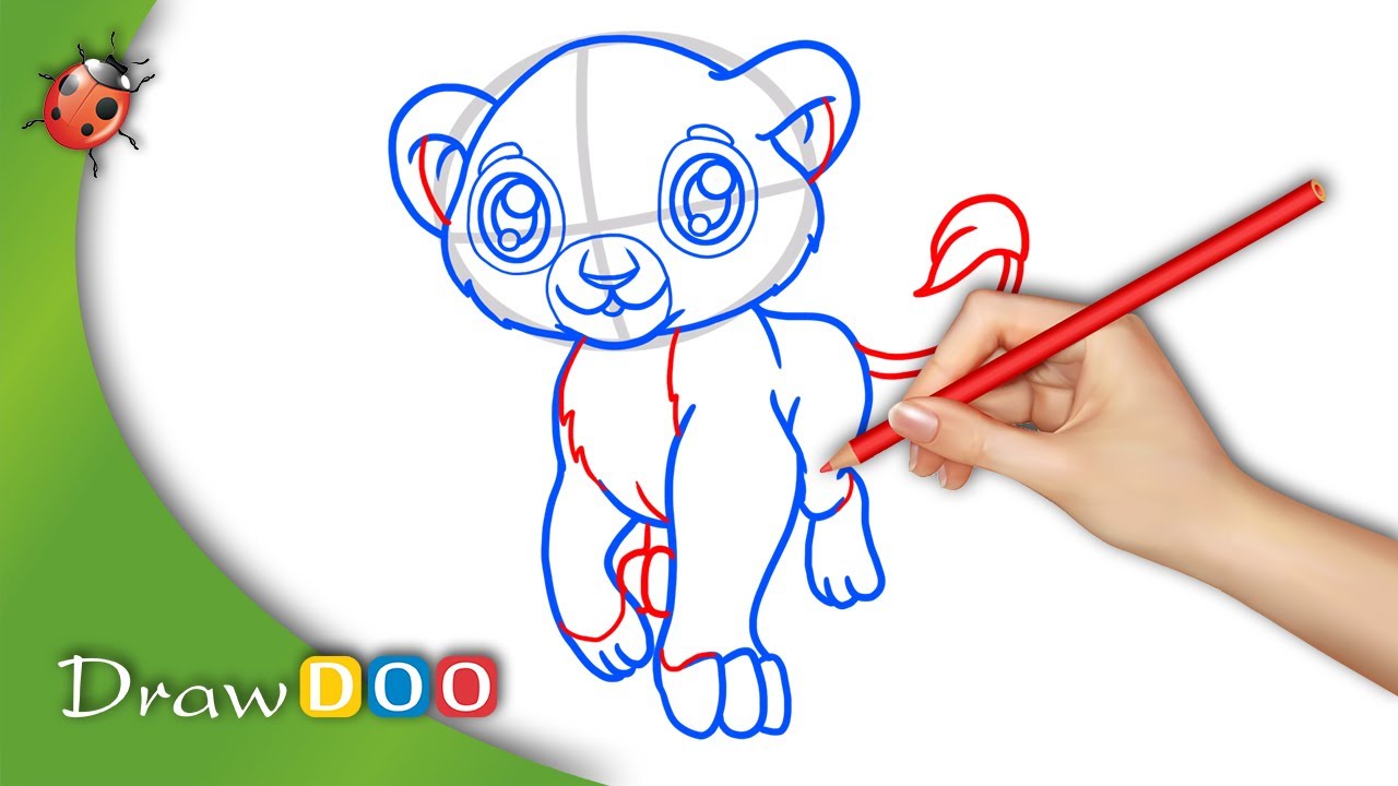 Chiby Baby Lion from Anime Animals Drawing Tutorial - YouTube