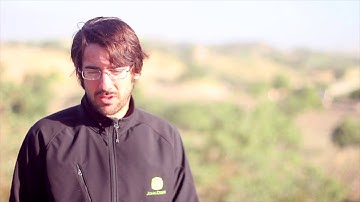 Notes From the Winemaker - When to Harvest