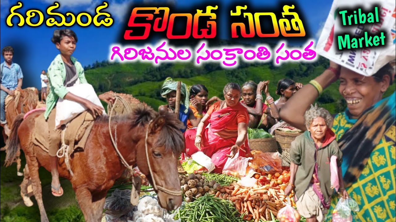 Tribal's Pongal market in dense forest|గుర్రాలతో వచ్చే అడవిసంత ఇప్పటి వరకు చూడలేదు